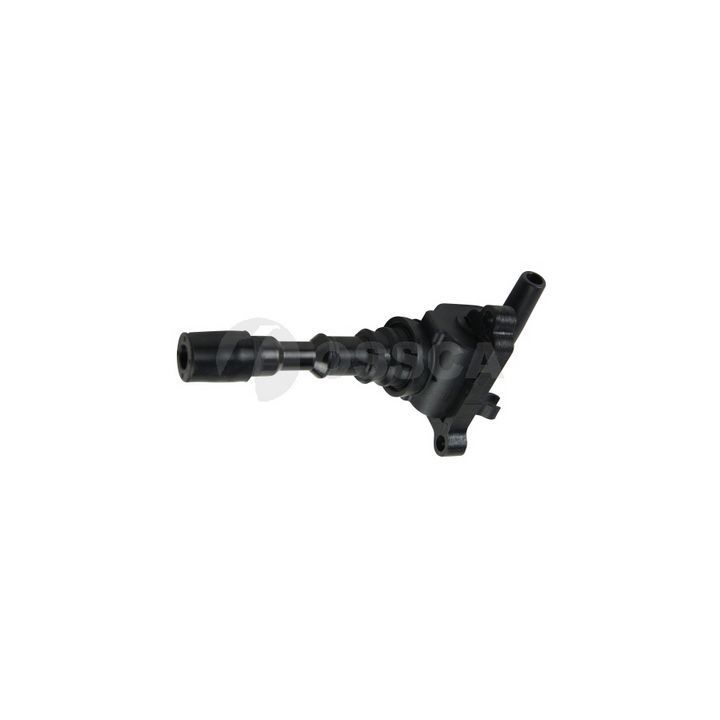 Ritė, uždegimas OSSCA 08002