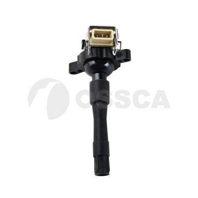 Ritė, uždegimas OSSCA 08013