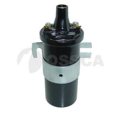 Ritė, uždegimas OSSCA 08455
