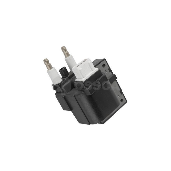 Ritė, uždegimas OSSCA 09648