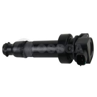 Ritė, uždegimas OSSCA 12239