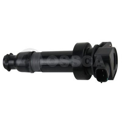 Ritė, uždegimas OSSCA 12239