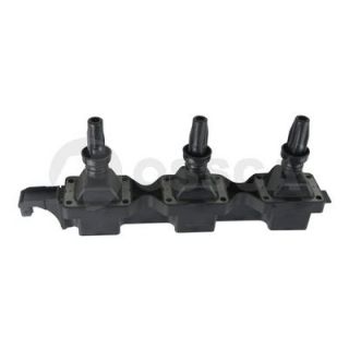 Ritė, uždegimas OSSCA 13253