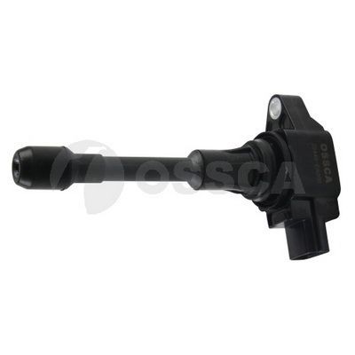 Ritė, uždegimas OSSCA 14962