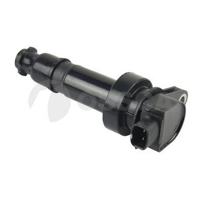 Ritė, uždegimas OSSCA 15331