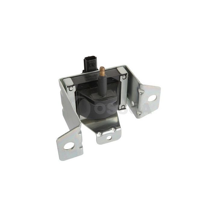 Ritė, uždegimas OSSCA 15903