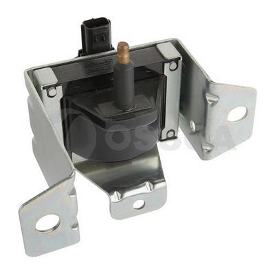 Ritė, uždegimas OSSCA 15903