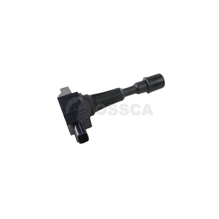 Ritė, uždegimas OSSCA 16713