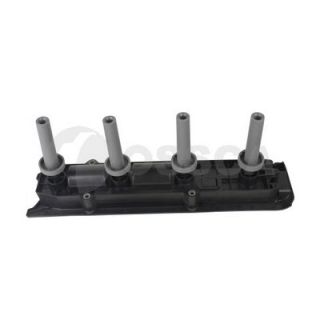 Ritė, uždegimas OSSCA 18378