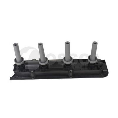 Ritė, uždegimas OSSCA 18378