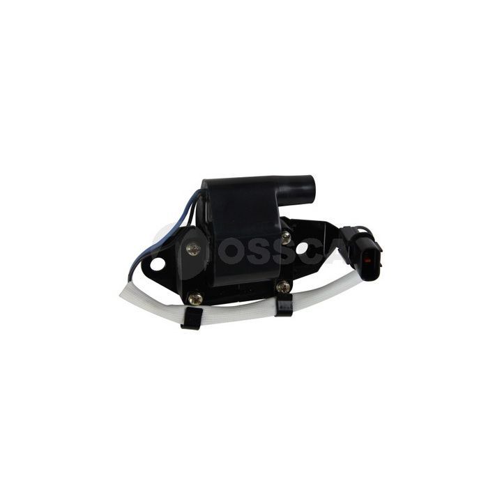 Ritė, uždegimas OSSCA 18653