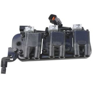 Ritė, uždegimas OSSCA 20858