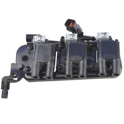 Ritė, uždegimas OSSCA 20858