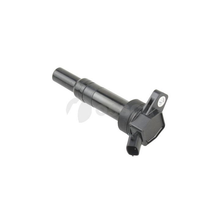 Ritė, uždegimas OSSCA 20864