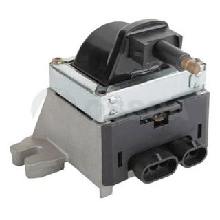 Ritė, uždegimas OSSCA 21316