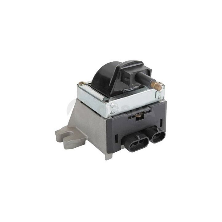 Ritė, uždegimas OSSCA 21316