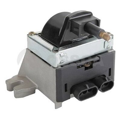 Ritė, uždegimas OSSCA 21316