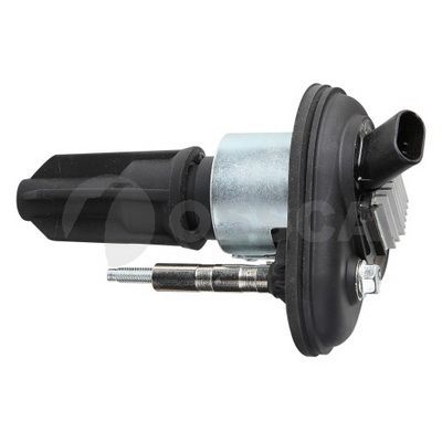 Ritė, uždegimas OSSCA 22700