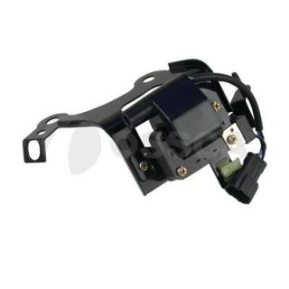 Ritė, uždegimas OSSCA 27656