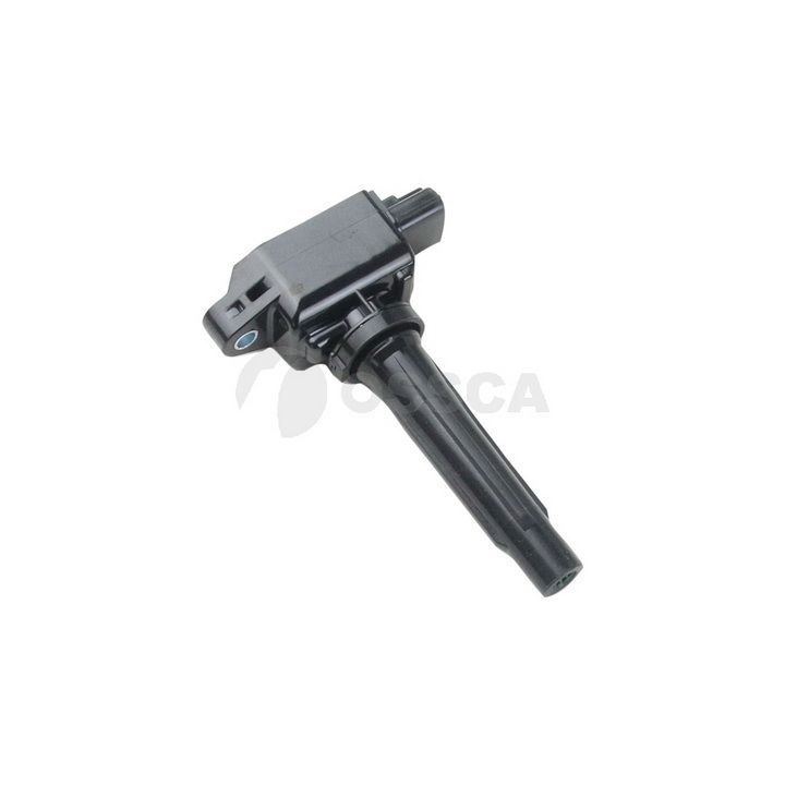 Ritė, uždegimas OSSCA 28873