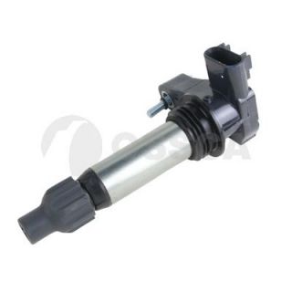 Ritė, uždegimas OSSCA 36100