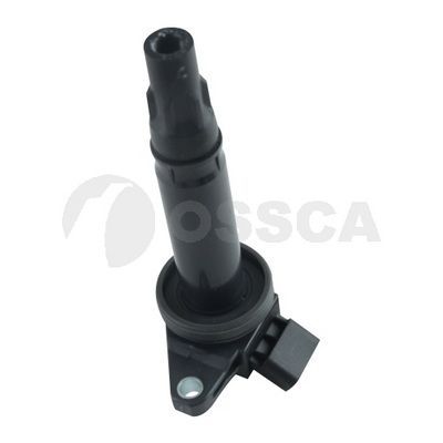 Ritė, uždegimas OSSCA 44716