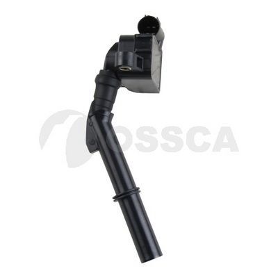 Ritė, uždegimas OSSCA 48337