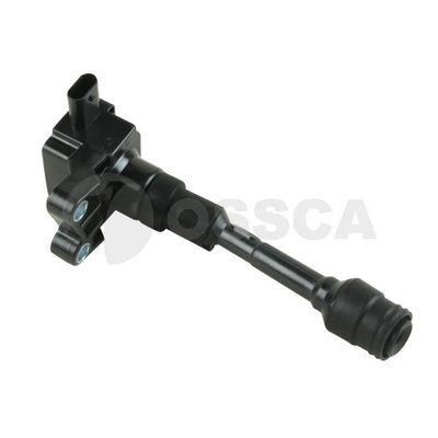 Ritė, uždegimas OSSCA 50674