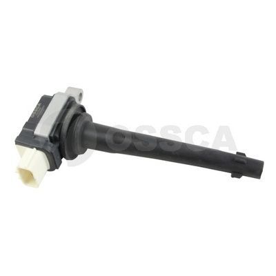 Ritė, uždegimas OSSCA 52335