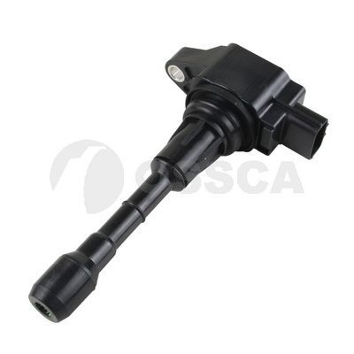 Ritė, uždegimas OSSCA 61337