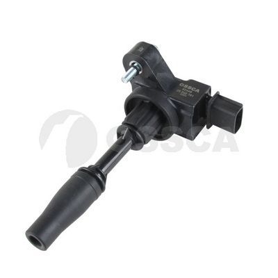 Ritė, uždegimas OSSCA 62449