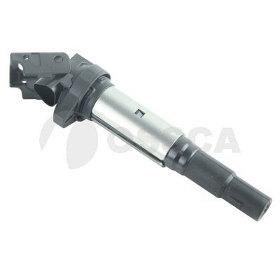 Ritė, uždegimas OSSCA 79722