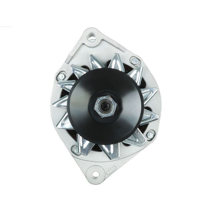 Kintamosios srovės generatorius AS-PL A3001