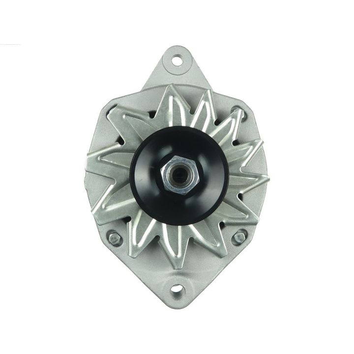 Kintamosios srovės generatorius AS-PL A3007