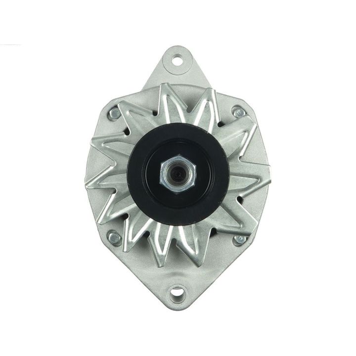 Kintamosios srovės generatorius AS-PL A3008