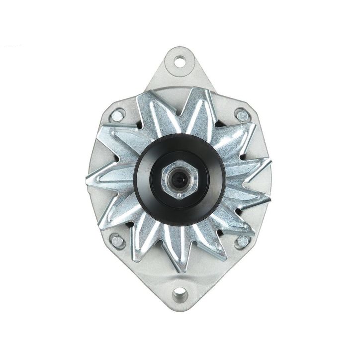 Kintamosios srovės generatorius AS-PL A3048