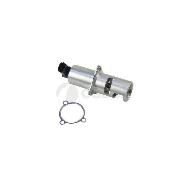 ERG vožtuvas OSSCA 11250