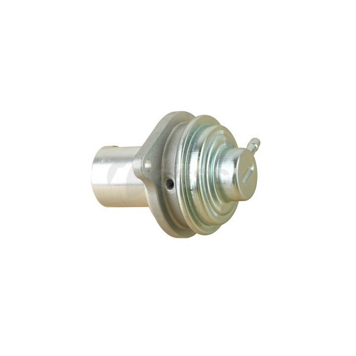 ERG vožtuvas OSSCA 38316