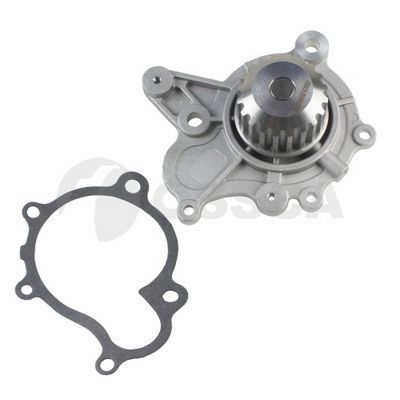 Vandens siurblys, variklio aušinimas OSSCA 21181