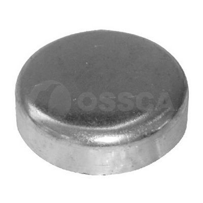Užšalęs kaištis OSSCA 03061