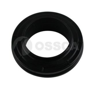 Frikcinis guolis, pakabos statramsčio atramos montavimas OSSCA 11094