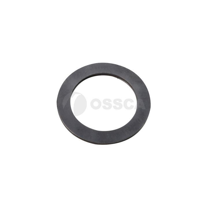 Frikcinis guolis, pakabos statramsčio atramos montavimas OSSCA 63485