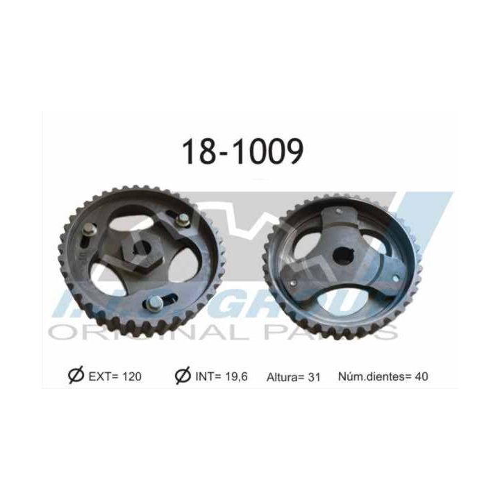 Pavara, įpurškimo siurblys IJS GROUP 18-1009