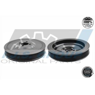 Skriemulys, alkūninis velenas IJS GROUP 17-1219