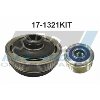 Alkūninio veleno skriemulių rinkinys IJS GROUP 17-1321KIT