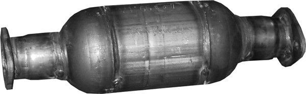 Katalizatoriaus keitiklis POLMO 99.170