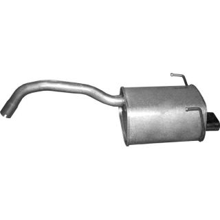 Galinis duslintuvas POLMO 07.39