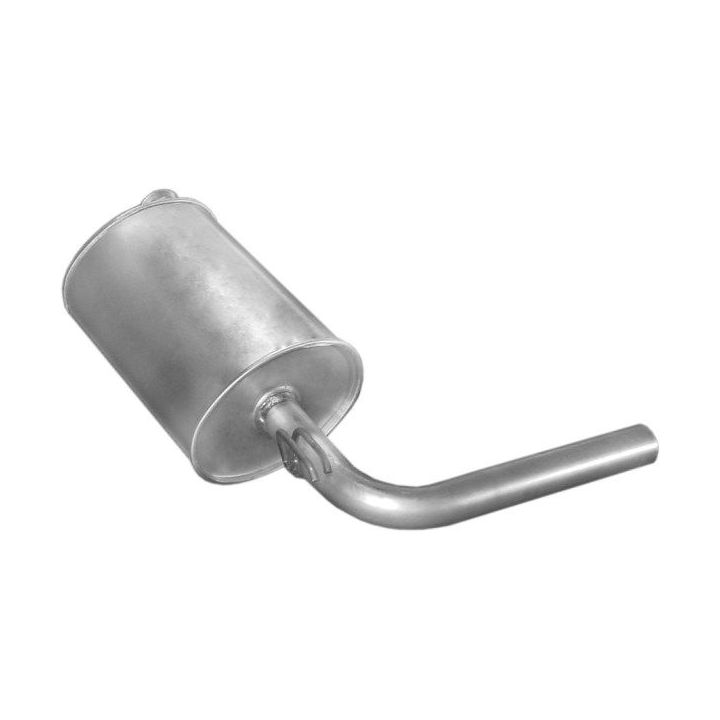 Galinis duslintuvas POLMO 21.252