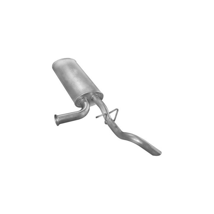 Galinis duslintuvas POLMO 21.283