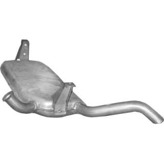 Galinis duslintuvas POLMO 21.287